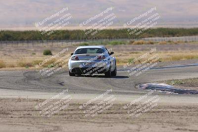 media/Oct-04-2025-OnGrid (Sat) [[44bd565ffa]]/Yellow Group/Grapevine/